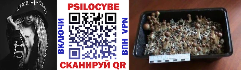 сколько стоит  Лабытнанги  Галлюциногенные грибы ЛСД 