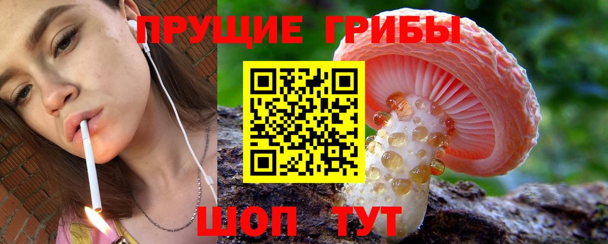 Галлюциногенные грибы Psilocybine cubensis  Псилоцибиновые грибы Psilocybe  Вход с VPN  Лабытнанги 